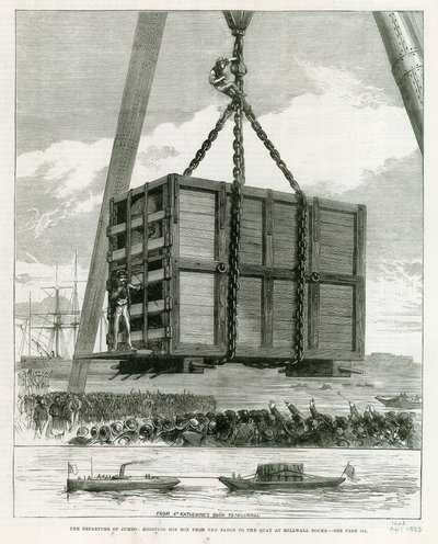 Départ de Jumbo - English School