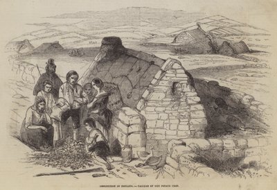 Détresse en Irlande, échec de la récolte de pommes de terre - English School