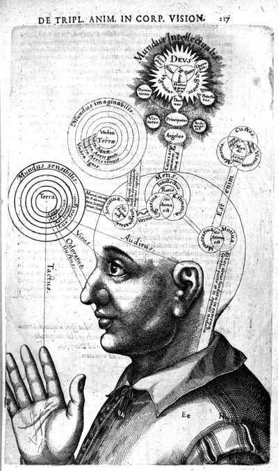 Diagramme de la conscience, de l