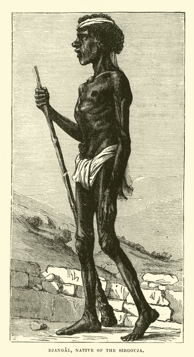 Djangal, natif du Sirgouja - English School