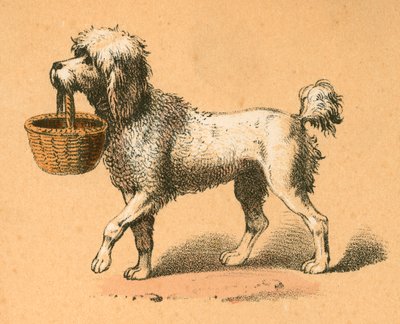 Chien avec panier - English School