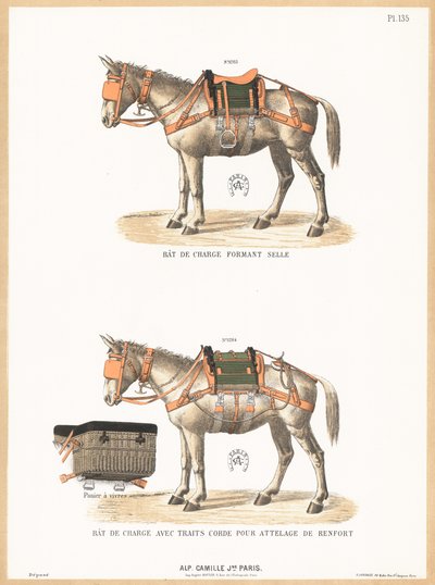 Ânes portant des selles - English School