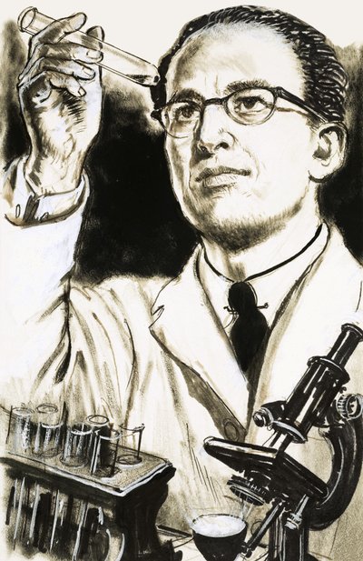 Dr Jonas Salk, créateur du vaccin contre la polio, regarde un tube à essai - English School