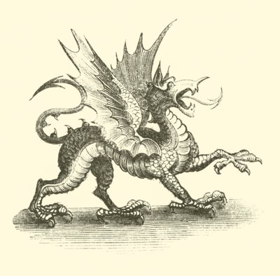 Dragon - English School