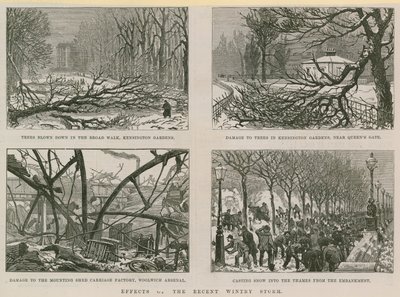 Effets de la récente tempête hivernale - English School