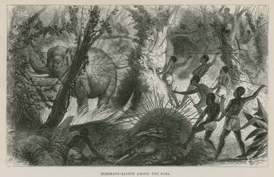Chasse à l