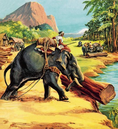 Éléphant. Illustration de Elephant Bill par le lieutenant-colonel J. H. Williams - English School