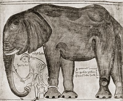 Éléphant envoyé par Saint Louis à Henri III, extrait de "Historia Major", reproduit dans "English Historians". - English School