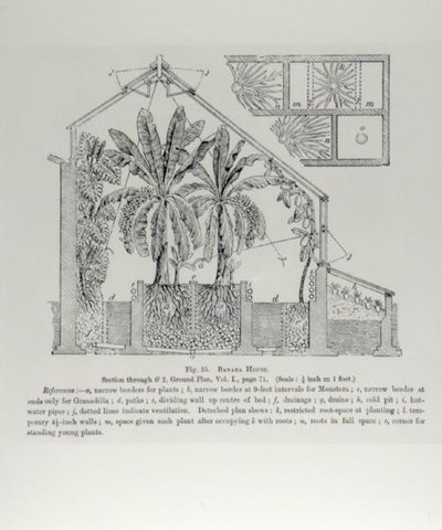 Élévation d