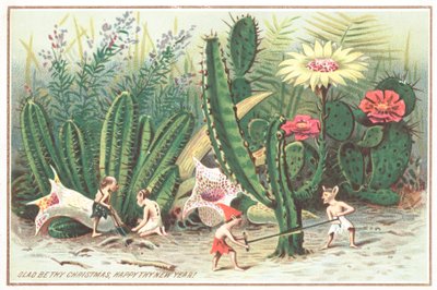 Lutins dans le jardin, Carte de Noël - English School
