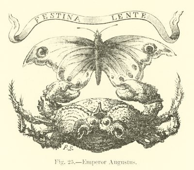 Empereur Auguste - English School