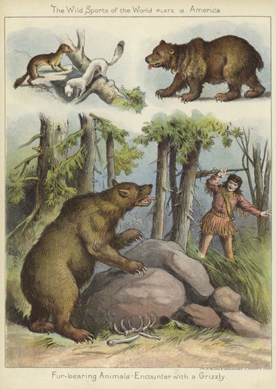Rencontre avec un grizzly - English School