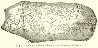 Gravure de mammouth sur un morceau d