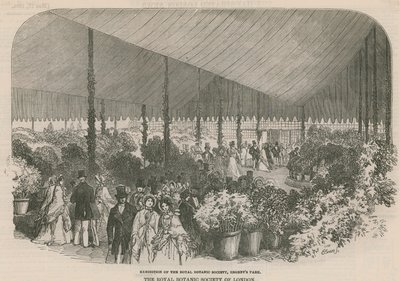 Exposition de la Société royale de botanique - English School