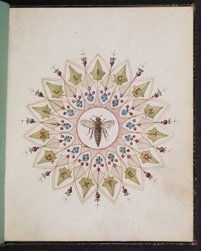 Insecte dans un dessin. Carnet de croquis avec des scènes des histoires de Charles Dickens (aquarelle sur papier) - English School