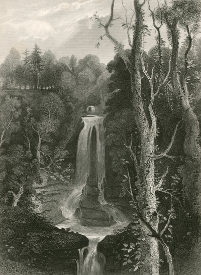 Chutes d