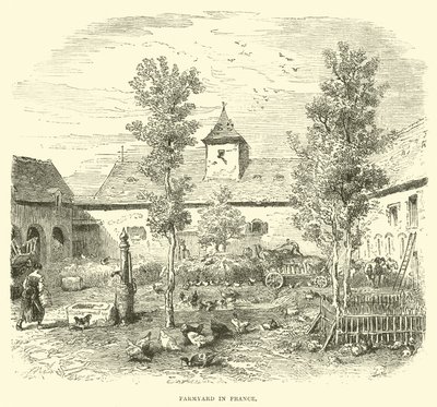 Cour de ferme en France - English School