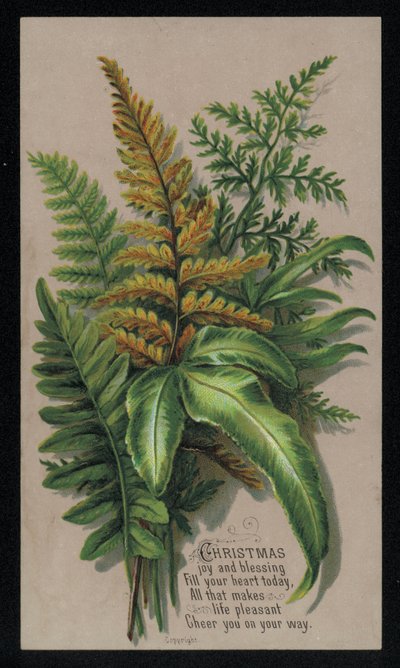 Arrangement de feuilles festives, carte de Noël - English School