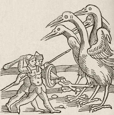 Combat entre Pygmées et Grues. Une histoire de la mythologie grecque. Du Strand Magazine publié en 1897. - English School