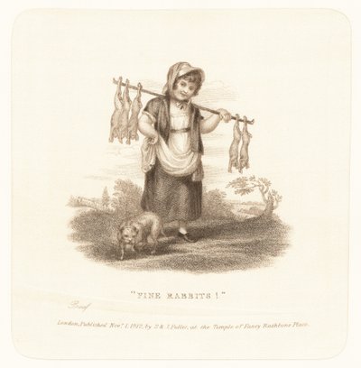 Beaux lapins! - English School