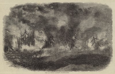 Incendie aux plantations du prince Albert (gravure) - English School