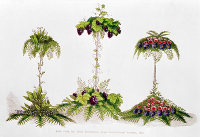 Premier prix pour la décoration de table, Royal Horticultural Society, 1851 - English School