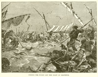 Pêche au thon au large de la côte de Provence - English School