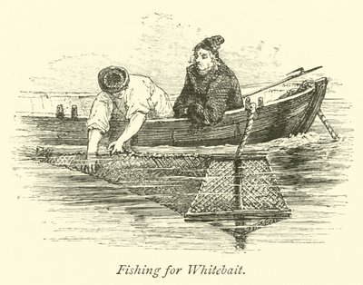 Pêche au fretin - English School