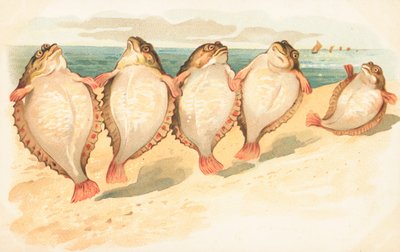 Cinq poissons plats dansant sur une plage - English School