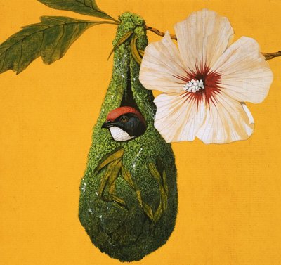 Oiseau bec-figue d