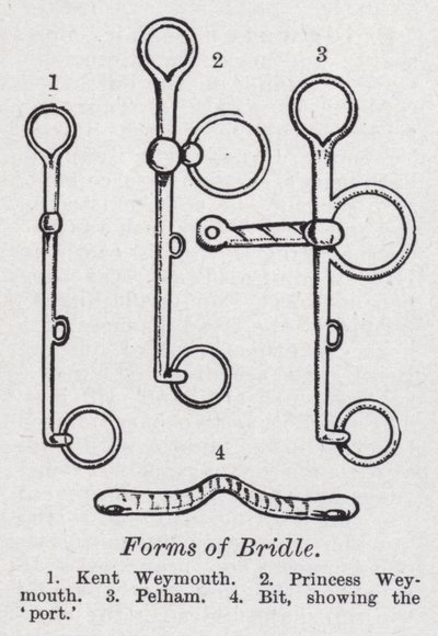 Formes de bride - English School