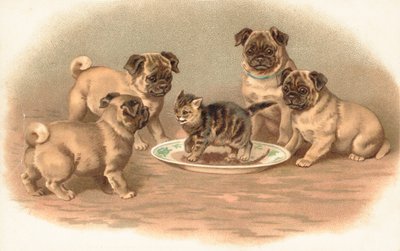 Quatre chiens carlins assis autour d