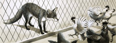 Un renard à l