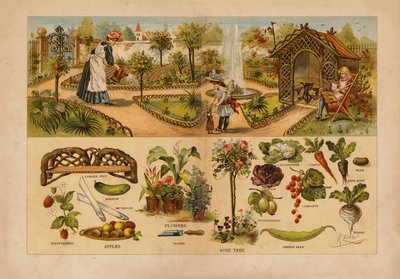 Jardin - English School
