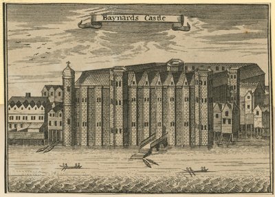 Vue générale du château de Baynards - English School