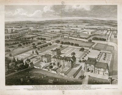 Vue générale des vestiges de l