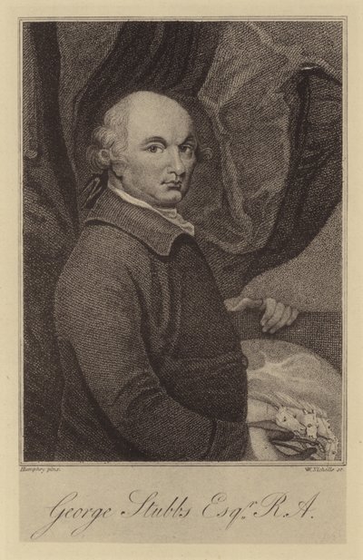 George Stubbs - English School