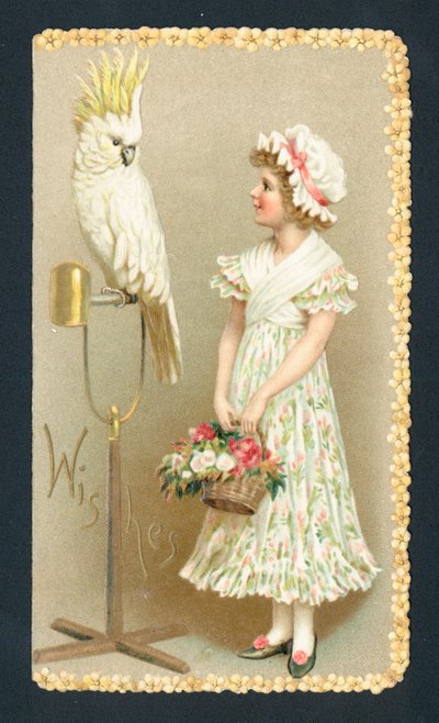 Fille et perruche - English School