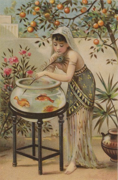 Fille taquinant des poissons rouges avec une plume de paon - English School