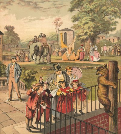 Aller au zoo - English School