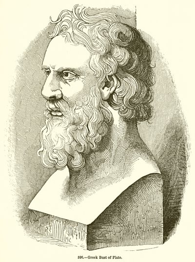 Buste grec de Platon - English School