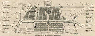 Plan du nouveau Marché aux Bestiaux Métropolitain, Copenhagen Fields - English School