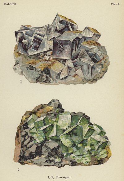 Halogénures, fluorine (lithographie en couleur) - English School