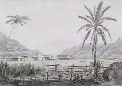 Halse Hall, Jamaïque, vers 1780 - English School