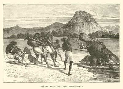 Arabes Hamran capturant un hippopotame - English School