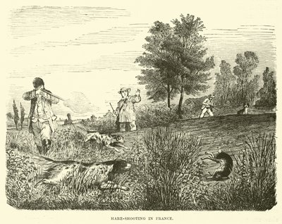 Chasse au lièvre en France - English School