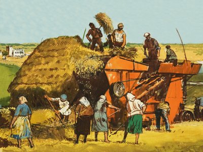 Récolte de blé - English School