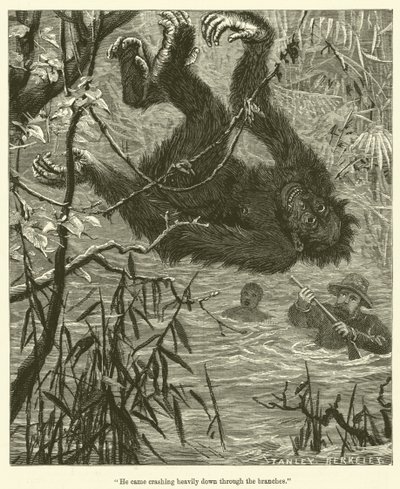 "Il est tombé lourdement à travers les branches" (gravure) - English School