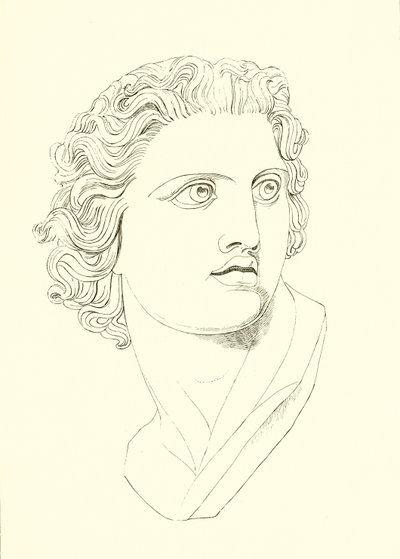 Tête, affichant vigueur virile et résolution héroïque - English School