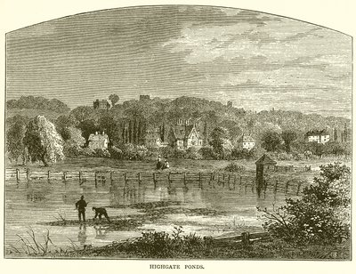Étangs de Highgate - English School